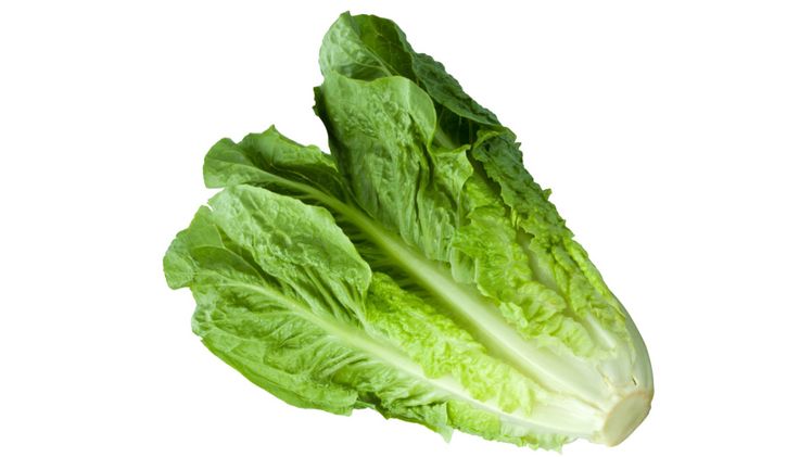 Römersalat ist ein Ur-Salat. Bild: vsgp.