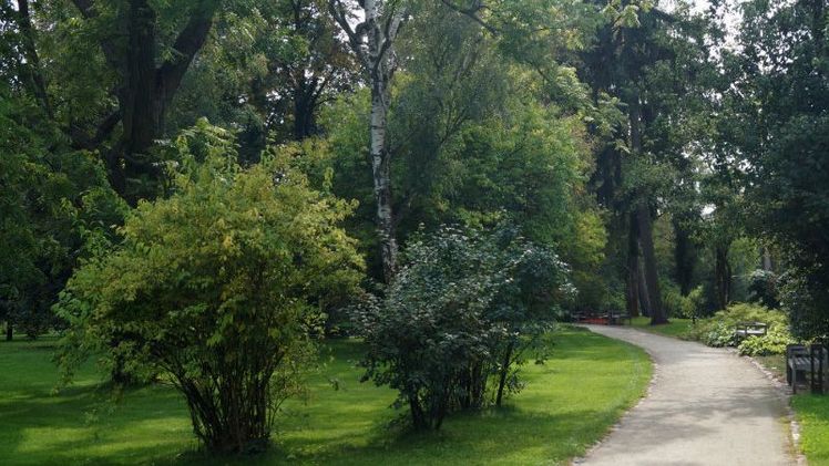 Sachsen-Anhalterinnen und Sachsen-Anhaltern stehen 43.769 ha Grünanlagenflächen zur Verfügung. Bild: GABOT.