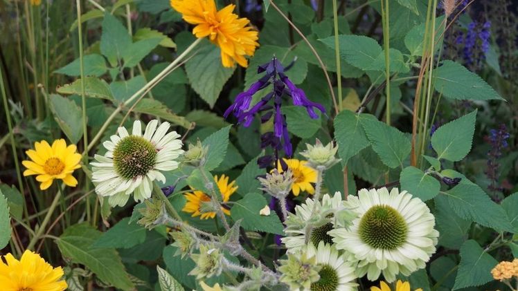 Beschluss schafft Basis für Erhalt der biologischen Vielfalt. Bild: GABOT.
