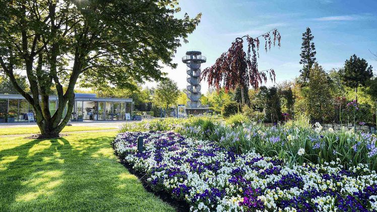 Frühlingsflor 2021 im Park der Gärten. Bild: Hans-Jürgen Zietz. 