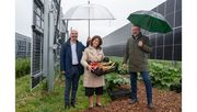Staatsministerin Michaela Kaniber gemeinsam mit Dr. Jörg Hirsche (Leiter der LWG; 1.vl.) sowie Günther Felßner (BBV-Präsident; 3.v.l.) bei der Agri-PV-Anlage vor einer Versuchsfläche mit Rhabarber in Uffenheim. Bild: © Pia Regnet/StMELF.