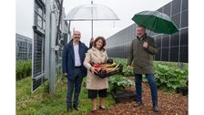 Staatsministerin Michaela Kaniber gemeinsam mit Dr. Jörg Hirsche (Leiter der LWG; 1.vl.) sowie Günther Felßner (BBV-Präsident; 3.v.l.) bei der Agri-PV-Anlage vor einer Versuchsfläche mit Rhabarber in Uffenheim. Bild: © Pia Regnet/StMELF.
