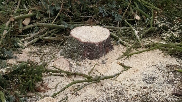 Weniger meldepflichtige Arbeitsunfälle in Deutschland im Jahr 2023. Bild: GABOT. Weniger meldepflichtige Arbeitsunfälle in Deutschland im Jahr 2023. Bild: GABOT.