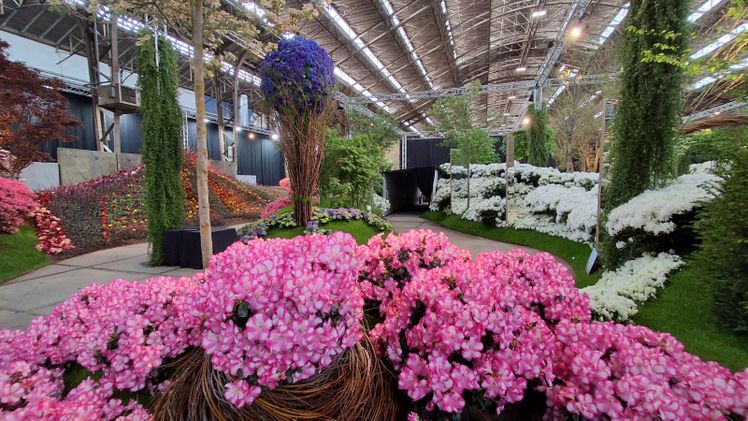 Impressionen von den Genter Floraliën. Bild: GABOT.