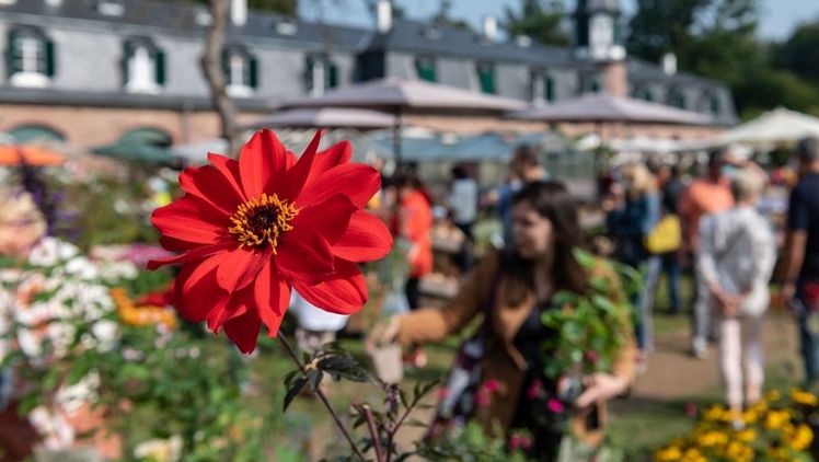 Blüte im Obstgarten von Schloss Wolfsgarten. Bild: M. Strohfeldt.
