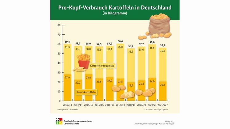 Insgesamt lag der Pro-Kopf-Verbrauch von Kartoffeln  in Deutschland somit bei 56,1 Kilogramm. Bild: BZL.