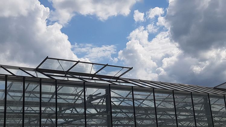 Der Temperaturdurchschnitt lag im Juni 2022 mit 18,4°C um 3,0 Grad über dem Wert der international gültigen Referenzperiode 1961 bis 1990. Bild: GABOT.