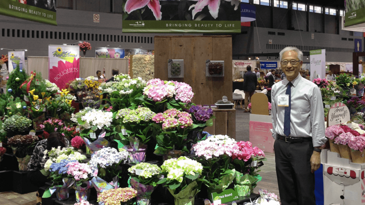 Bay City Flower Company ist ein Familienunternehmen in der vierten Generation. Harrison Higaki, Eigentümer und Präsident der Bay City Flower Company, ist hier neben den farbenfrohen Hortensien zu sehen. Bild: Bay City Flower Company / Syngenta.