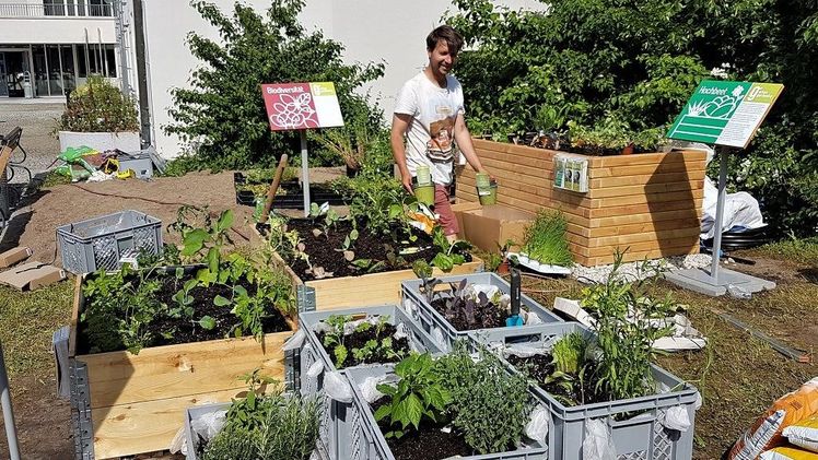 Ob Kisten, Hochbeete und andere Systeme: Beim Urban Gardening gibt es viele Möglichkeiten. Bild: Gundula Holm © LWG Veitshöchheim.