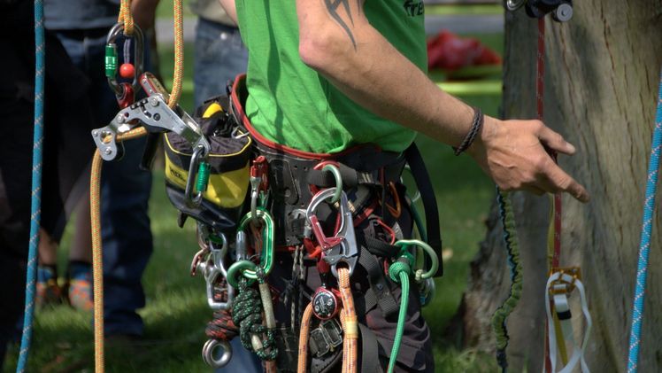 Sehr facettenreich sind die Demonstrationen zu Seil-Klettertechnik. Bild: Fachverband geprüfter Baumpfleger (FgB)/Banse.