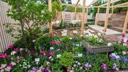 Themengarten der Firmen Lindenlaub GmbH und Außengestaltung Vogt auf der Bundesgartenschau in Erfurt. Bild: FGL.