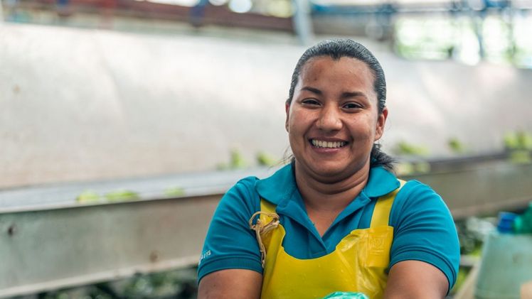 Seit über 130 Jahren versorgt Fyffes Millionen von Menschen auf der ganzen Welt mit einer Auswahl tropischer Produkte. Bild: Fyffes.