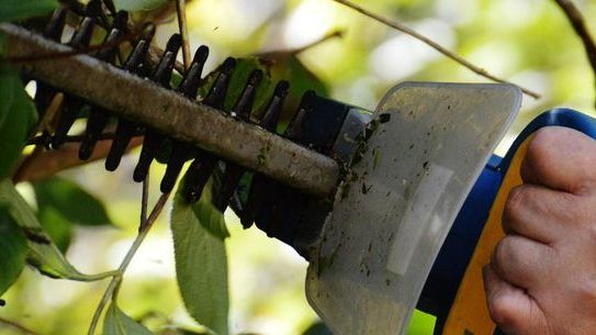 BHB: Stellt Projekt "Sicherheit im Garten" vor. Bild: BHB. BHB: Stellt Projekt "Sicherheit im Garten" vor. Bild: BHB.