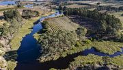EDEKA unterstützt drei neue Projekte in Wasserrisikogebieten. Durch sogenannte Pufferstreifen zwischen landwirtschaftlich genutzter Fläche und Gewässern wird das Wasser geschützt. Bild: © Jacques Marais (Palmiet River).