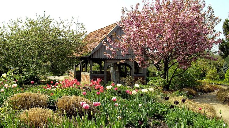 Park der Gärten startet mit blühenden Highlights in den Frühling. Bild: Park der Gärten. Park der Gärten startet mit blühenden Highlights in den Frühling. Bild: Park der Gärten.
