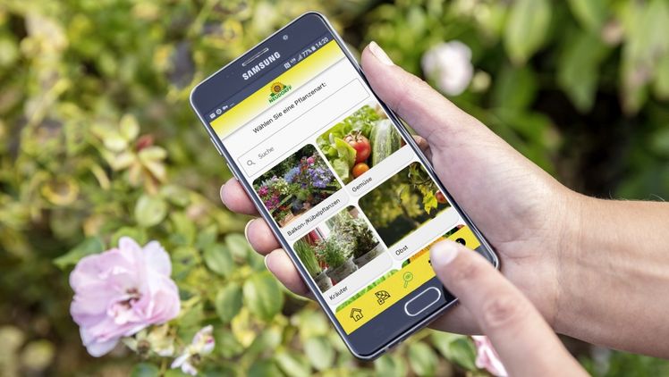 Neudorffs Pflanzendoktor-App erhält Bestnote für Serviceangebot. Bild: Neudorff.