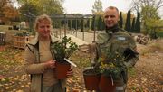 300 Rosen sind heute für die Neugestaltung des egapark-Rosengartens eingetroffen. Bild: BUGA Erfurt.