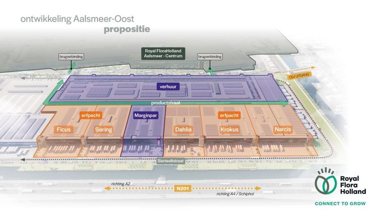 Die fünf Grundstücke, die jetzt auf den Markt kommen, schließen direkt an dieses Grundstück in Sichtlage an der N201 an. Bild: RFH.