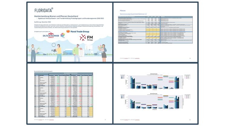 Floridata reichert Marktinformationen mit Verbrauchswert und Trendermittlung in Deutschland an. Bild: Floridata.
