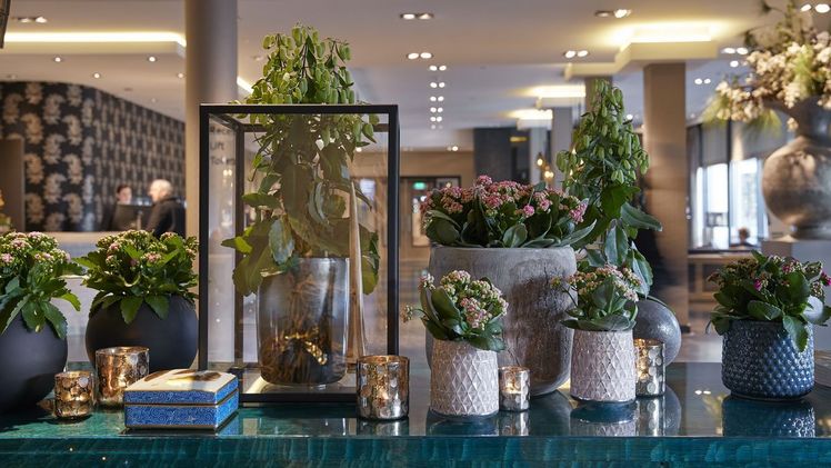 Mit geschmackvollen Adventsarrangements schafft man eine festliche Atmosphäre und stimmt so die Gäste und auch die Angestellten auf die besinnliche Zeit ein. Bild: GPP. Mit geschmackvollen Adventsarrangements schafft man eine festliche Atmosphäre und stimmt so die Gäste und auch die Angestellten auf die besinnliche Zeit ein. Bild: GPP.