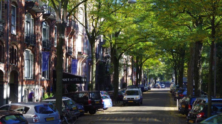 Stadtbäume müssen gepflegt werden, um die Verkehrssicherheit zu gewährleisten. Bild: GABOT.