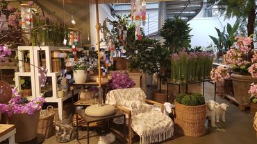 Einblicke in Thomas Home & Garden Inspiration. Bild: GABOT.