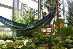 Urlaubsfeeling pur bei der achten Blumenhallenschau. Bild: Lea Mispelkamp, Landesgartenschau Kamp-Lintfort 2020 GmbH.