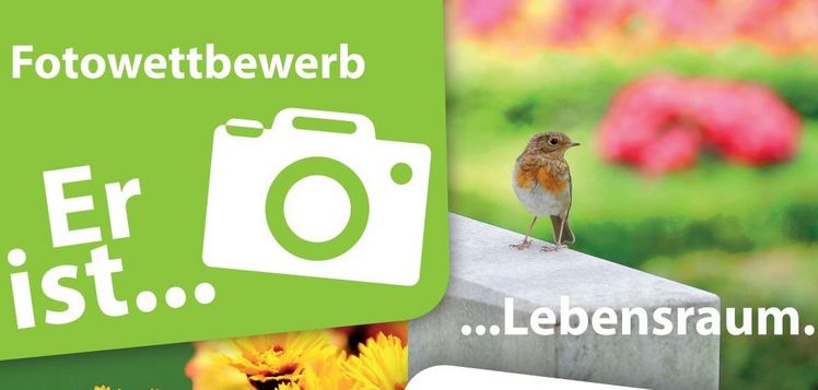Die VFFK-Kampagne "Er ist…" zeigt, wie vielfältig Friedhöfe sein können – zeig uns, wie Du Deinen Friedhof siehst und beteilige Dich am Fotowettbewerb. Foto: VFFK.