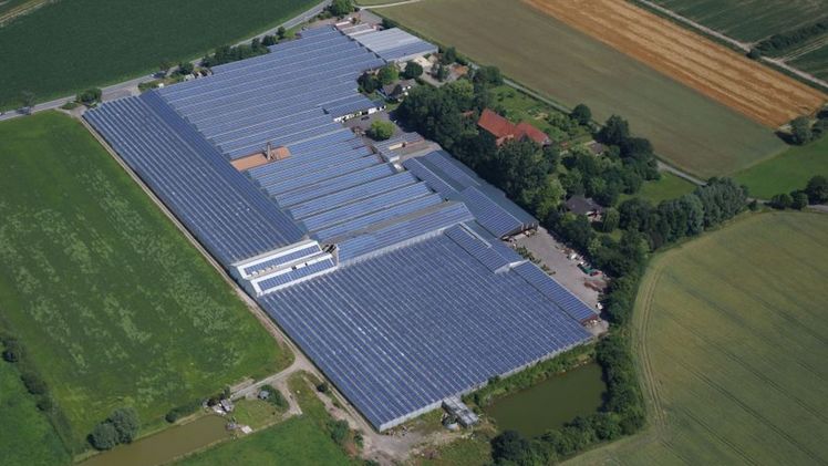 Im Münsterland betreibt 'Gärtner Gregg' nachhaltige, umweltschonende Pflanzenproduktion und stellt die biologische Raumklimatisierung in den Mittelpunkt. Bild: Gärtner Gregg.