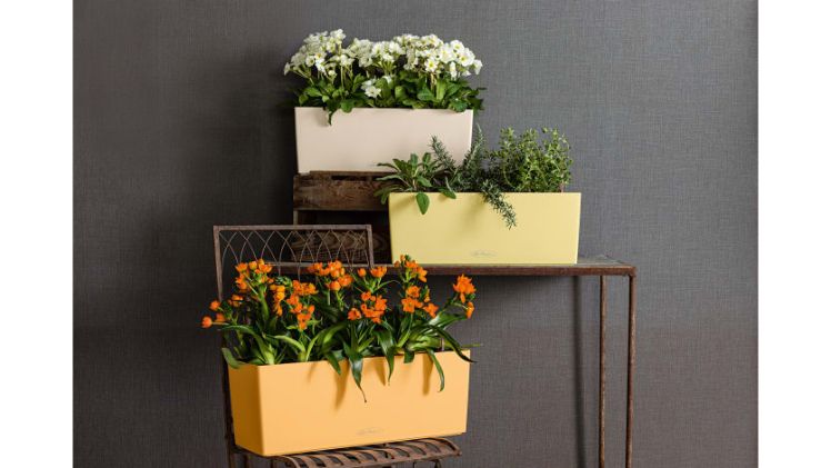 LECHUZA ist seit der Markteinführung im Jahr 2.000 der Experte für schöne und funktionale Pflanzgefäße aus hochwertigem Kunststoff. Bild: LECHUZA.