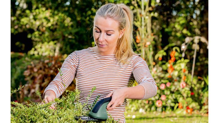 Die neue Strauch- und Grasschere bringt Gräser, Lavendelsträucher oder Buchsbäume schnell, einfach und exakt in Form. Die laserstrahlgeschnittenen und diamantgeschliffenen Qualitätsmesser aus der Schweiz sorgen für saubere und präzise Schnitte. Der Messerwechsel erfolgt mühelos und ohne zusätzliches Werkzeug. Bild: Bosch.