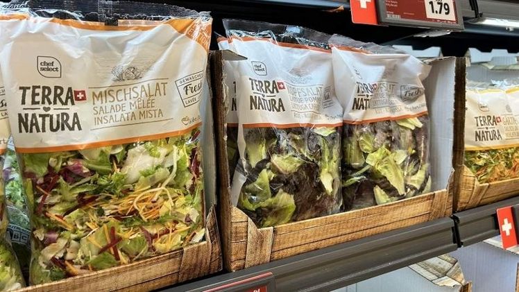 Alle Schnittsalate werden jetzt nach IP-SUISSE Richtlinien produziert. Bild: Lidl Schweiz.