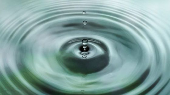 Kaufland setzt sich für den verantwortungsvollen Umgang mit Wasser ein. Foto: Kaufland.