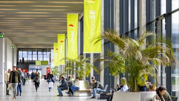 Spargel- und Beerenbranche feiert 2026 Doppeljubiläum. Bild: VSSE e.V. / Jürgen Rösner.