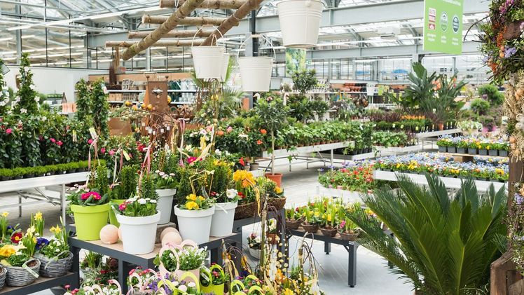 Beispiel Verkaufsfläche. Bild: Arnold Pöschl.