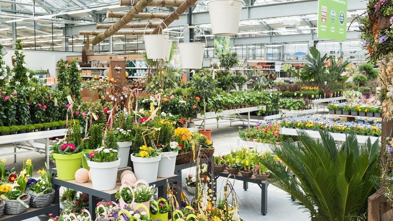 Dehner: Zweiter Markt in Düsseldorf
