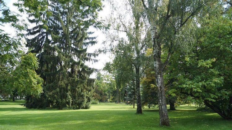 Stadtparks, Kleingärten oder begrünte Innenhöfe bieten Gelegenheit, von der entspannenden Wirkung der Vegetation zu profitieren. Bild: GABOT.