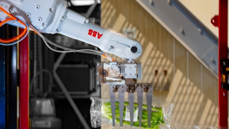 Der Einsatz von Robotern wird bei The Greenery eine immer größer werdende Rolle spielen. Bild: The Greenery. 