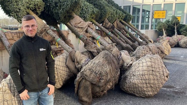 Auch für die Garten- und Landschaftsbauer ist der Aufbau der Blumenhalle etwas ganz Besonderes, wie Bauleiter Tom Olbrich von der Firma Rüdiger Brandenburg erklärt. Bild: 1000 gute Gründe.