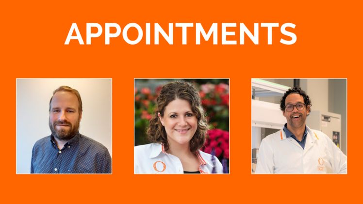 Von links nach rechts: Martijn Kuiper, Tosca Ferber, Camillo Berenos. Bild: Dümmen Orange.