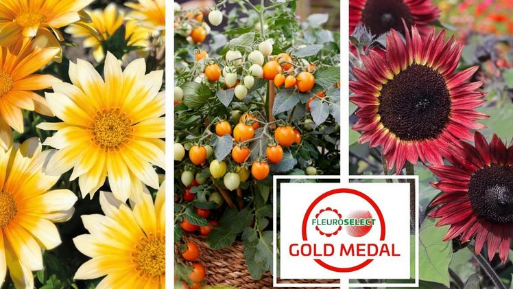 Fleuroselect freut sich, die Goldmedaillen-Gewinner 2023 zu präsentieren. Bild: Fleuroselect.