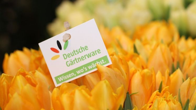 Die Kampagne „Deutsche Gärtnerware“ setzt sich konsequent für Produkte heimischer, deutscher Erzeugerbetriebe und die Produktion in Deutschland ein.