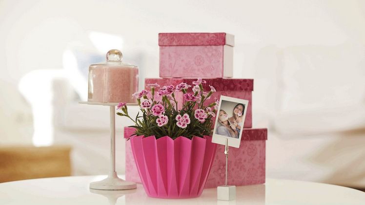 Selecta one schreibt die Erfolgsgeschichte der Pink Kisses® fort. Bild: Selecta one.