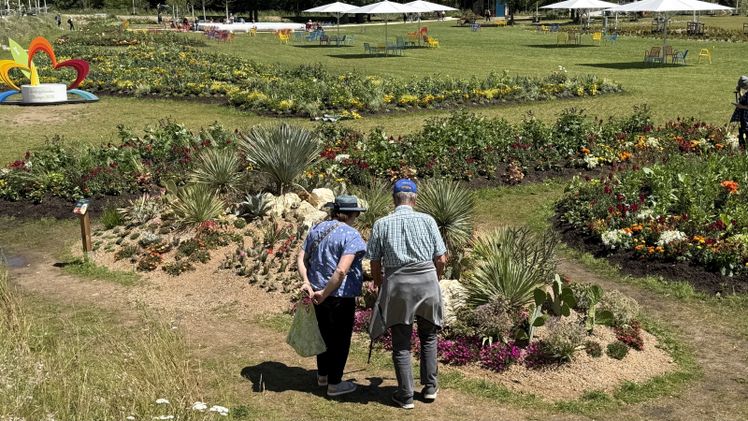 Was von der Landesgartenschau bleibt: Beim Abverkauf auf dem Schießwasen können Pflanzen, Fahnen, Banner, Möbel und weitere Gegenstände neue Besitzer finden. Foto: LGS GmbH.
