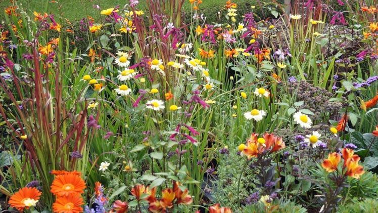 Risikoanalyse auf Sondersitzung zur BUGA Rostock vorgestellt. Bild: GABOT.