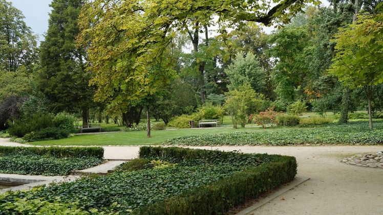 Städtische Grünflächen nehmen weltweit weiter ab. Bild: GABOT.