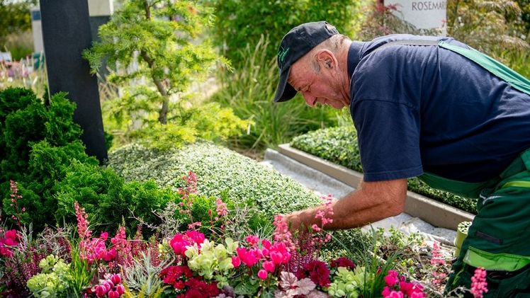 Der Herbst ist da. Bild: Gesellschaft deutscher Friedhofsgärtner mbH. Der Herbst ist da. Bild: Gesellschaft deutscher Friedhofsgärtner mbH.