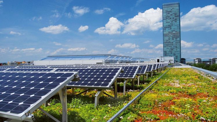 Die Dachbegrünung sorgt für eine kühlere Umgebungstemperatur und dadurch für mehr Ertrag der Photovoltaikanlage. Bild: ZinCo. 