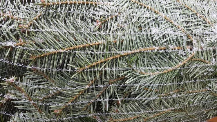 Das ist mit vernetztem Einkaufen nicht gemeint... Bild: GABOT.