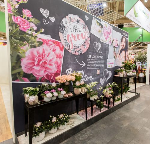 Bloomways Neue Filiale Erweitert Gabot de